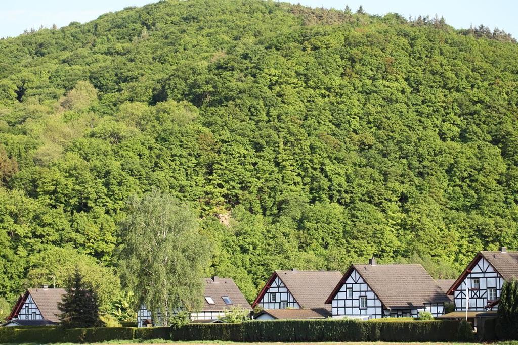 니데겐 Bos En Kasteel 아파트 외부 사진